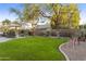 Lush backyard with a manicured lawn, mature trees, and a BBQ island, perfect for outdoor gatherings at 9517 E Minton St, Mesa, AZ 85207