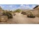 Desert landscape featuring native cacti and plants, providing a tranquil natural setting with distant mountain views at 9517 E Minton St, Mesa, AZ 85207