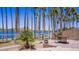 Backyard patio with chairs and a table overlooking a lake with palm trees at 10952 S Desert Lake Dr, Goodyear, AZ 85338