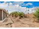 Spacious backyard with palm trees and block fence at 1857 S El Marino Cir, Mesa, AZ 85202