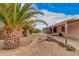 Large backyard with multiple palm trees, covered patio and enclosed patio at 1857 S El Marino Cir, Mesa, AZ 85202