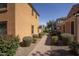 View of the neighborhood featuring well-kept landscaping and inviting sidewalks at 3450 E Milky Way, Gilbert, AZ 85295