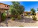 Large backyard featuring desert landscaping, patio, and a beautiful tree, ideal for outdoor enjoyment at 36145 N Desert Tea Dr, Queen Creek, AZ 85140