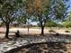 Outdoor basketball court surrounded by trees and green space, offering recreational amenities for residents at 717 E Temple St, Chandler, AZ 85225