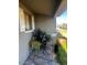 Inviting entryway adorned with lush greenery, creating a warm and welcoming ambiance at 7808 W Clarendon Ave, Phoenix, AZ 85033