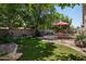 Lush backyard with vibrant green grass, mature trees, and a shaded patio area perfect for outdoor gatherings at 8237 W Alex Ave, Peoria, AZ 85382