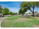 Lush community green space with walking bridge and mature trees at 16103 W Redfield Rd, Surprise, AZ 85379
