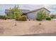 Inviting single-story residence enhanced by mature trees and desert landscaping in the front yard at 19029 E Mary Ann Way, Queen Creek, AZ 85142