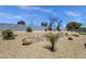 Desert landscaped backyard with privacy wall and rock feature, enhancing outdoor living at 3806 N 23Rd Ave, Phoenix, AZ 85015