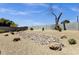 Spacious backyard featuring desert landscaping with rock bed and privacy wall at 3806 N 23Rd Ave, Phoenix, AZ 85015