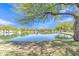 Community pond surrounded by mature trees, green space and blue sky at 40061 W Novak Ln, Maricopa, AZ 85138