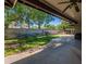 Covered patio overlooking the expansive backyard and lush greenery, creating a serene outdoor retreat at 405 E Stanford Ave, Gilbert, AZ 85234