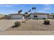 Charming single-story home featuring desert landscaping, palm trees, and American flag at 4913 E Acoma Dr, Scottsdale, AZ 85254
