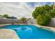 Backyard pool with mature trees and rock border at 620 W Crofton St, Chandler, AZ 85225
