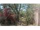 Backyard view featuring trees, red flowering bushes, and landscaping at 6725 W Colter St, Glendale, AZ 85303