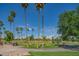 Beautiful golf course view with lush green grass, mature palm trees, and blue sky in a residential community at 8839 W Rimrock Dr, Peoria, AZ 85382