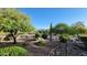 Desert landscape with trees and cacti, providing a serene and natural setting at 9715 E Allison Way, Scottsdale, AZ 85262