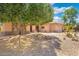 Charming single-story home with desert landscaping, mature trees, and a welcoming entrance at 15133 W Wildfire Dr, Surprise, AZ 85374