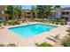 Community pool with crystal blue water, surrounding lounge chairs, and desert landscaping at 1825 W Ray Rd # 2111, Chandler, AZ 85224