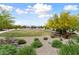 Landscaped greenbelt area with a circular lawn and mature trees and shrubs at 21090 N 267Th Dr, Buckeye, AZ 85396