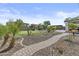 Paver walkway leads through a lush backyard with palm trees, a putting green, and a pool at 21337 E Waverly Dr, Queen Creek, AZ 85142