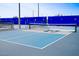 Well-maintained pickleball court offers a fun and engaging recreational activity for residents at 3394 E Tiffany Ct, Gilbert, AZ 85298