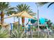 Shaded play area for with slides and climbing equipment under palm trees at 3394 E Tiffany Ct, Gilbert, AZ 85298