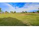 Expansive community lawn, perfect for recreation and outdoor activities within the neighborhood at 3971 E Heather Ct, Gilbert, AZ 85234