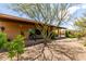 Desert landscaped backyard with a covered patio, ideal for outdoor living and enjoying the natural surroundings at 5978 E Chuckwalla Trl, Cave Creek, AZ 85331