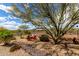 Charming backyard fire pit area with colorful Adirondack chairs, perfect for relaxing and enjoying the outdoors at 5978 E Chuckwalla Trl, Cave Creek, AZ 85331