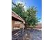View of the backyard featuring a large shade tree at 7214 S 42Nd St, Phoenix, AZ 85042