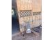 Exterior wall of home showing gas meter at 7214 S 42Nd St, Phoenix, AZ 85042