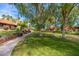 Scenic view of community landscaping, showcasing lush green lawns, mature trees, and winding walkways at 8700 E Mountain View Rd # 2011, Scottsdale, AZ 85258