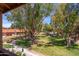 Scenic view showcasing lush green lawns, mature trees, and a well-maintained community setting at 8700 E Mountain View Rd # 2011, Scottsdale, AZ 85258