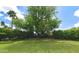 Expansive backyard features a lush lawn and mature trees, offering a serene outdoor space at 9829 N 49Th Pl, Paradise Valley, AZ 85253
