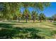 Scenic park view featuring lush green grass, mature trees, and serene atmosphere for relaxation at 10234 E Lomita Ave, Mesa, AZ 85209