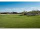 Expansive community park featuring lush green space, covered picnic areas, and stunning mountain views under a clear blue sky at 2024 W Trotter Trl, Phoenix, AZ 85085