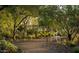 Serene walking path winding through a peaceful, shaded area with mature trees and a comfortable bench for relaxation at 2024 W Trotter Trl, Phoenix, AZ 85085