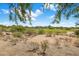 Scenic view of the community golf course and mountains framed by trees and desert foliage at 22231 N 51St St, Phoenix, AZ 85054