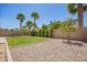 Spacious backyard featuring rocks, trees, and manicured hedges, under a sunny blue sky at 233 W Sweet Shrub Ave, San Tan Valley, AZ 85140