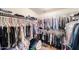 Spacious walk-in closet with organized shelving and hanging racks, providing ample storage for clothing and accessories at 23814 W Chambers W St, Buckeye, AZ 85326