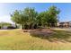 Lush front yard with mature trees and well-maintained landscaping at 2438 N Forest Cir, Mesa, AZ 85203