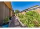 Landscaped side yard showcasing lush greenery, a stone pathway, and potted plants at 26071 W Sequoia Dr, Buckeye, AZ 85396