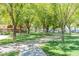 Scenic walking path lined with trees, offering a peaceful and shaded route through the community at 26071 W Sequoia Dr, Buckeye, AZ 85396