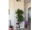 Bright entryway with tile floors, neutral walls, and a potted plant with a small accent table at 3825 S 60 Dr, Phoenix, AZ 85043
