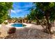 A spacious backyard featuring a sparkling pool, ample seating areas, and lush landscaping at 4556 E Paradise Ln, Phoenix, AZ 85032