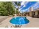 Beautiful pool surrounded by lush landscaping and a covered patio at 4556 E Paradise Ln, Phoenix, AZ 85032