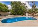 Backyard pool surrounded by lush trees and landscaping, providing a private outdoor oasis at 4556 E Paradise Ln, Phoenix, AZ 85032