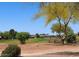 Scenic view of the golf course with well-maintained green, trees, and clear blue sky; beautiful landscaping at 4747 E Narrowleaf Dr, Gilbert, AZ 85298