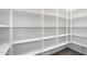 Large walk-in pantry with ample shelving for organized storage at 4811 W Hunter Trl, San Tan Valley, AZ 85144